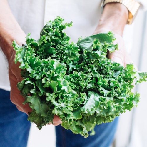 vegan-plant-based-news-kale-calcium
