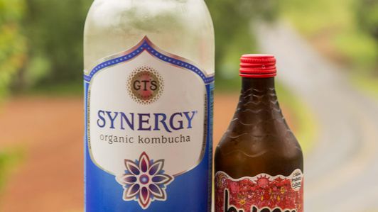How to make healthy probiotic Kombucha for cheap at home