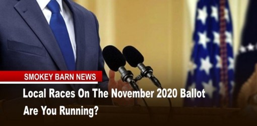 Seats On The November 2020 Ballot - Are You Running?