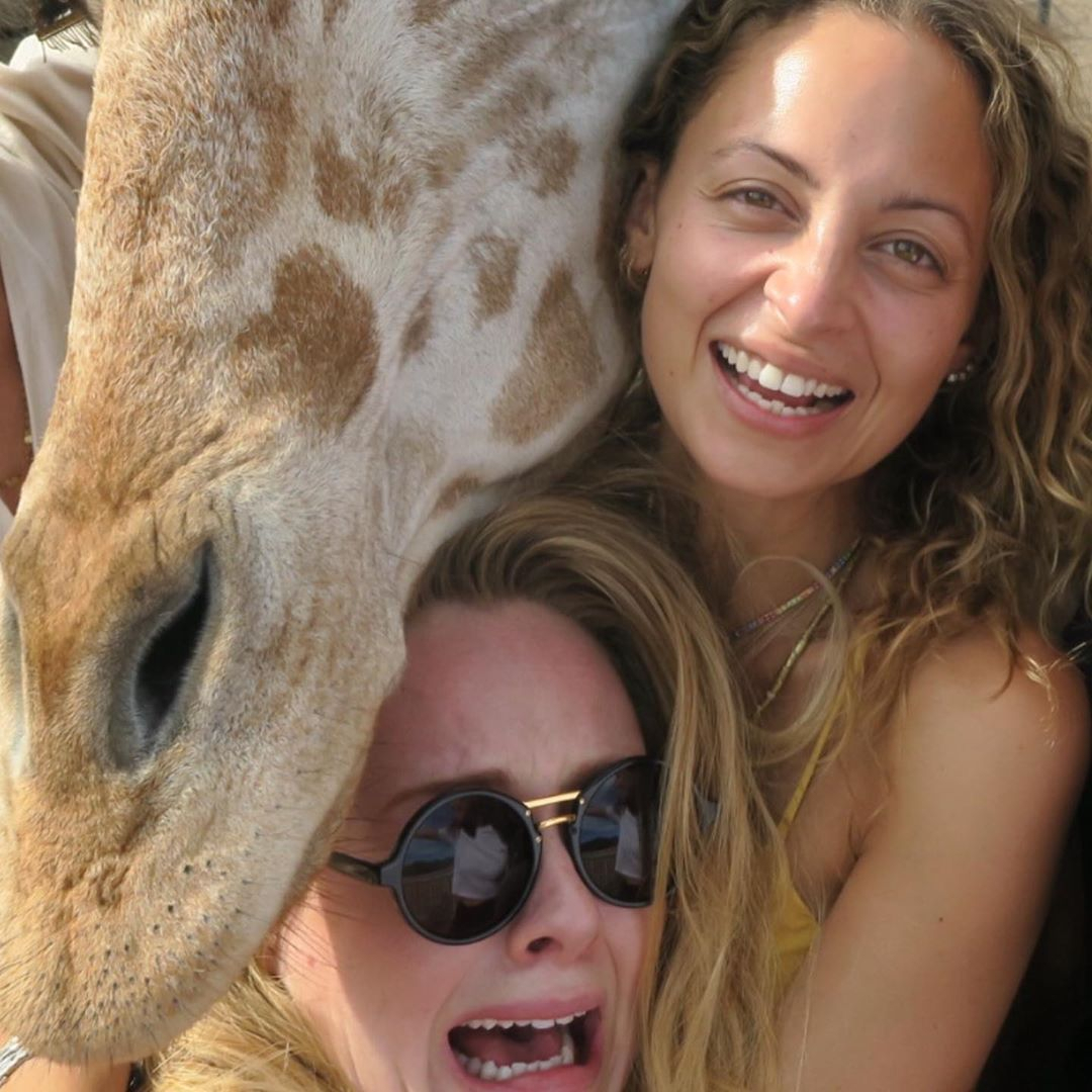 The singer is snapped screaming as they posed with a giraffe
