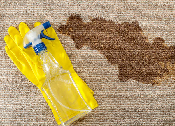 Cleaning carpet with ammonia