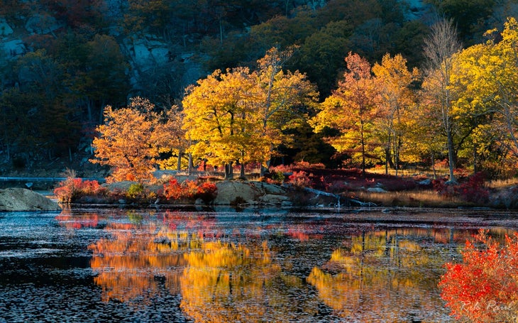 Local Color: Fine-art photography from the Lower Hudson Valley